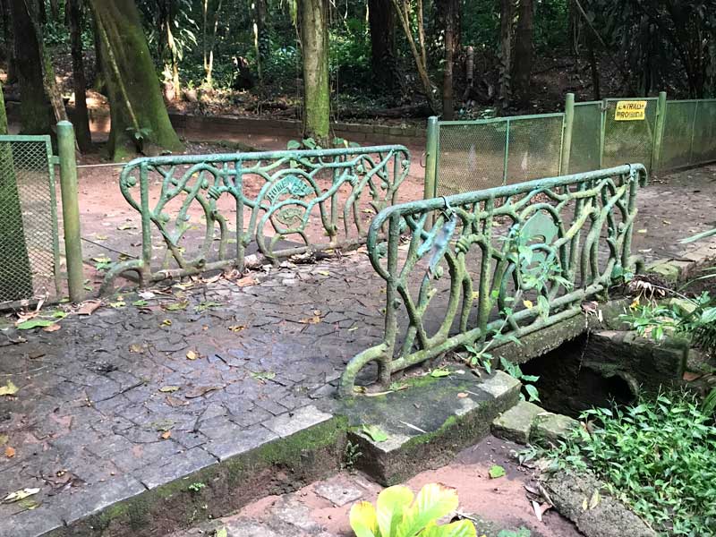 bosque-dos-jequitibas-area-verde-3-natureza-museu-virtual-campinas