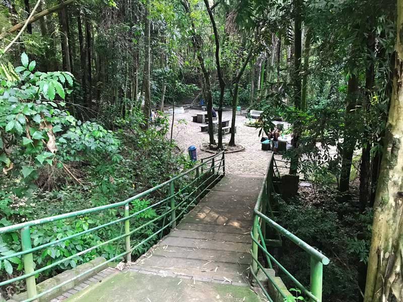 bosque-dos-jequitibas-area-verde-natureza-museu-virtual-campinas