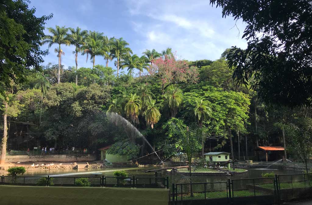 Bosque dos Jequitibás Campinas