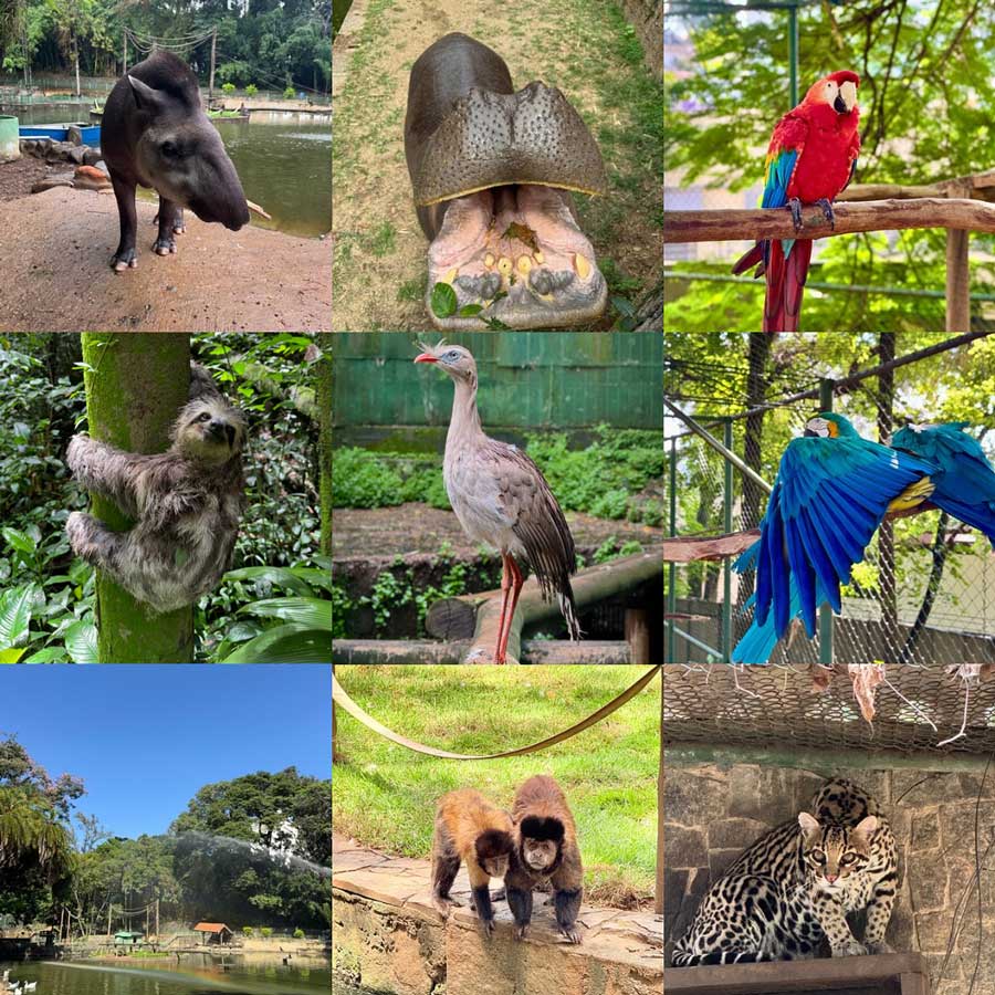 Zoológico do Bosque dos Jequitibás