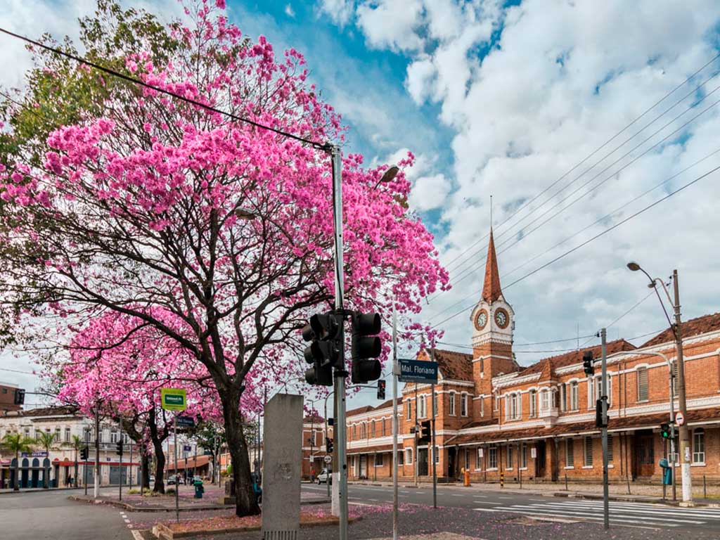 estação-cultura-campinas-carrossel-2-museu-virtual-campinas